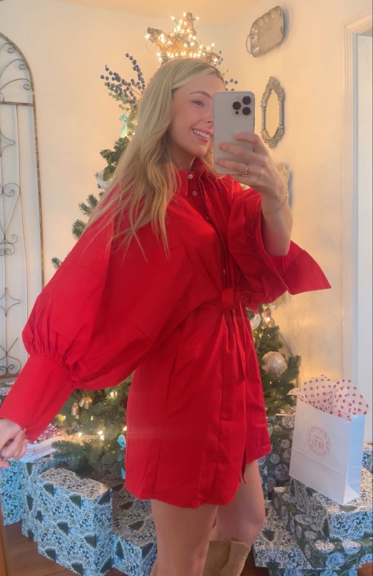 The Merry Red Dress